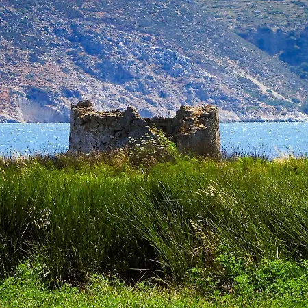 Virginia Villa