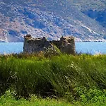 Virginia Villa