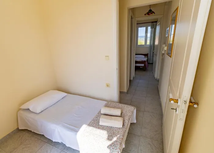 فيلة Virginia ليكسوري