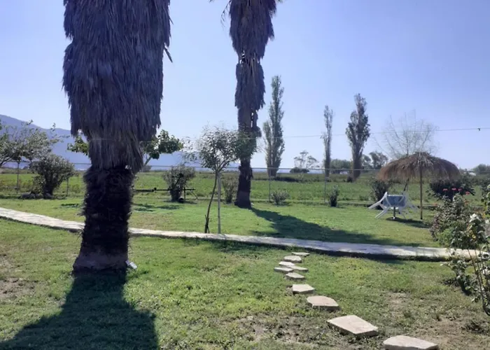 Virginia فيلة ليكسوري