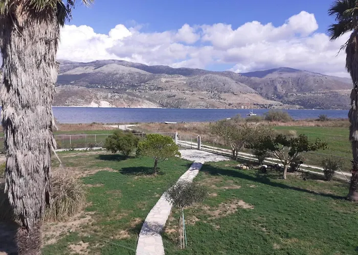 فيلة Virginia ليكسوري